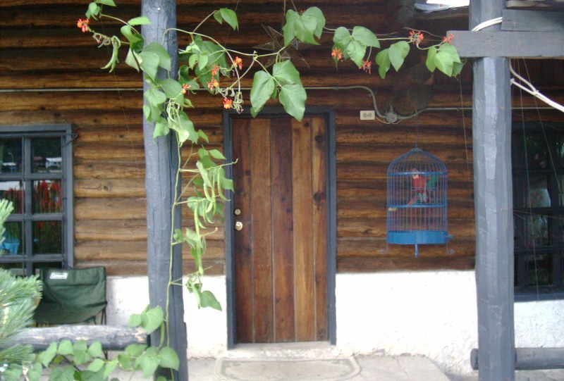 Front door