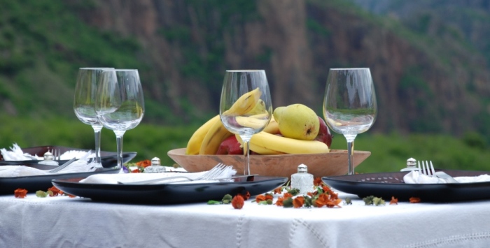Deluxe-Discada-Picnic